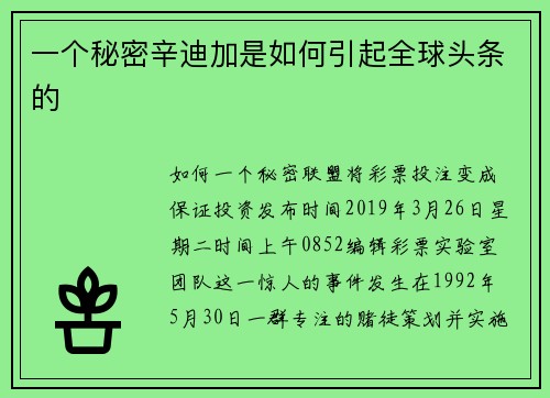 一个秘密辛迪加是如何引起全球头条的